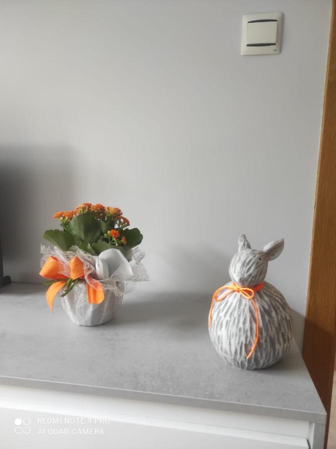 Apartamento En Malpica Costa Da Morte 外观 照片